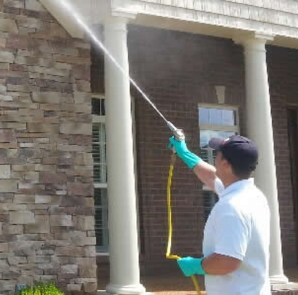 Pest Control Services A Plus Pest Control