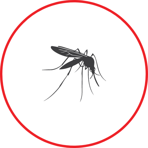 mosquito control Huntsville Al