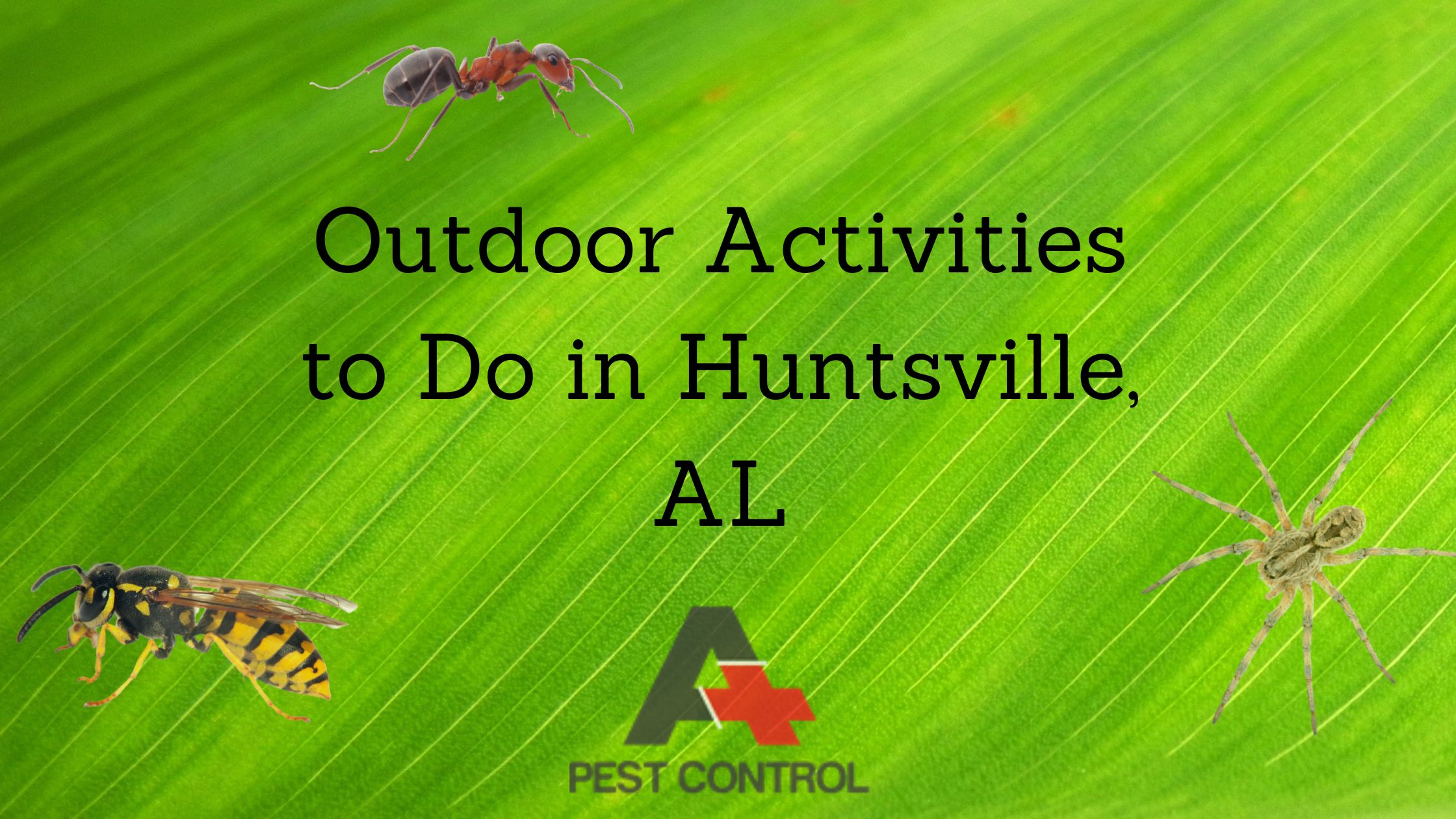Outdoor Activities to Do in Huntsville, AL