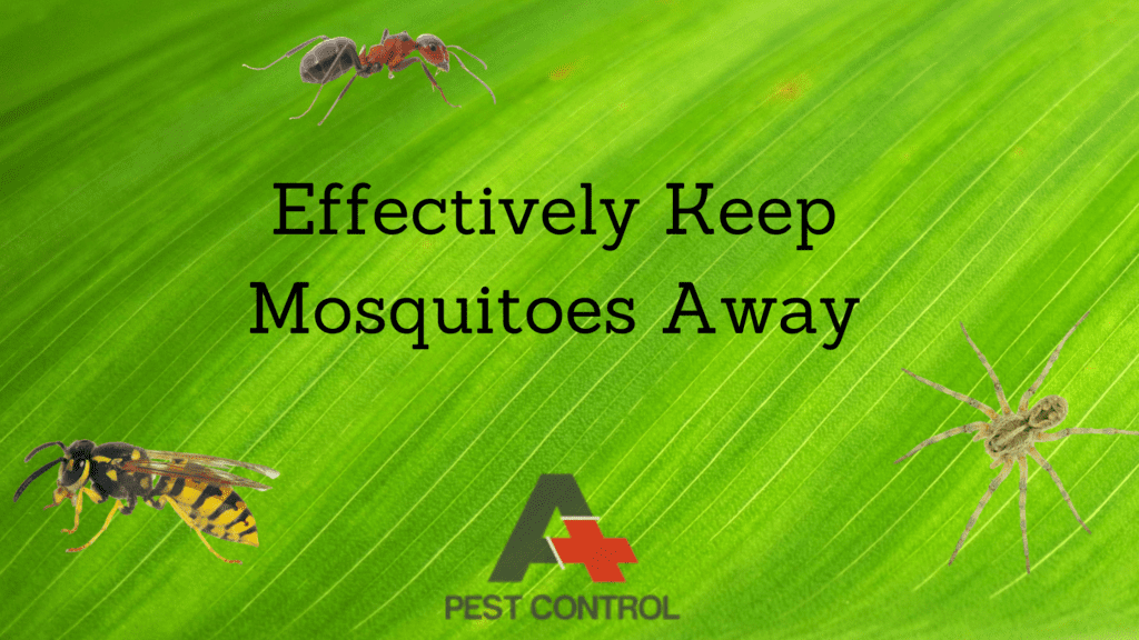 Effectively keep mosquitoes away