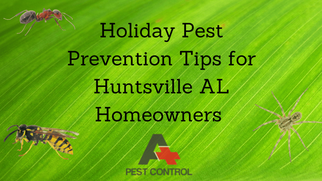 Holiday Pest Prevention Tips for Huntsville AL Homeowners 