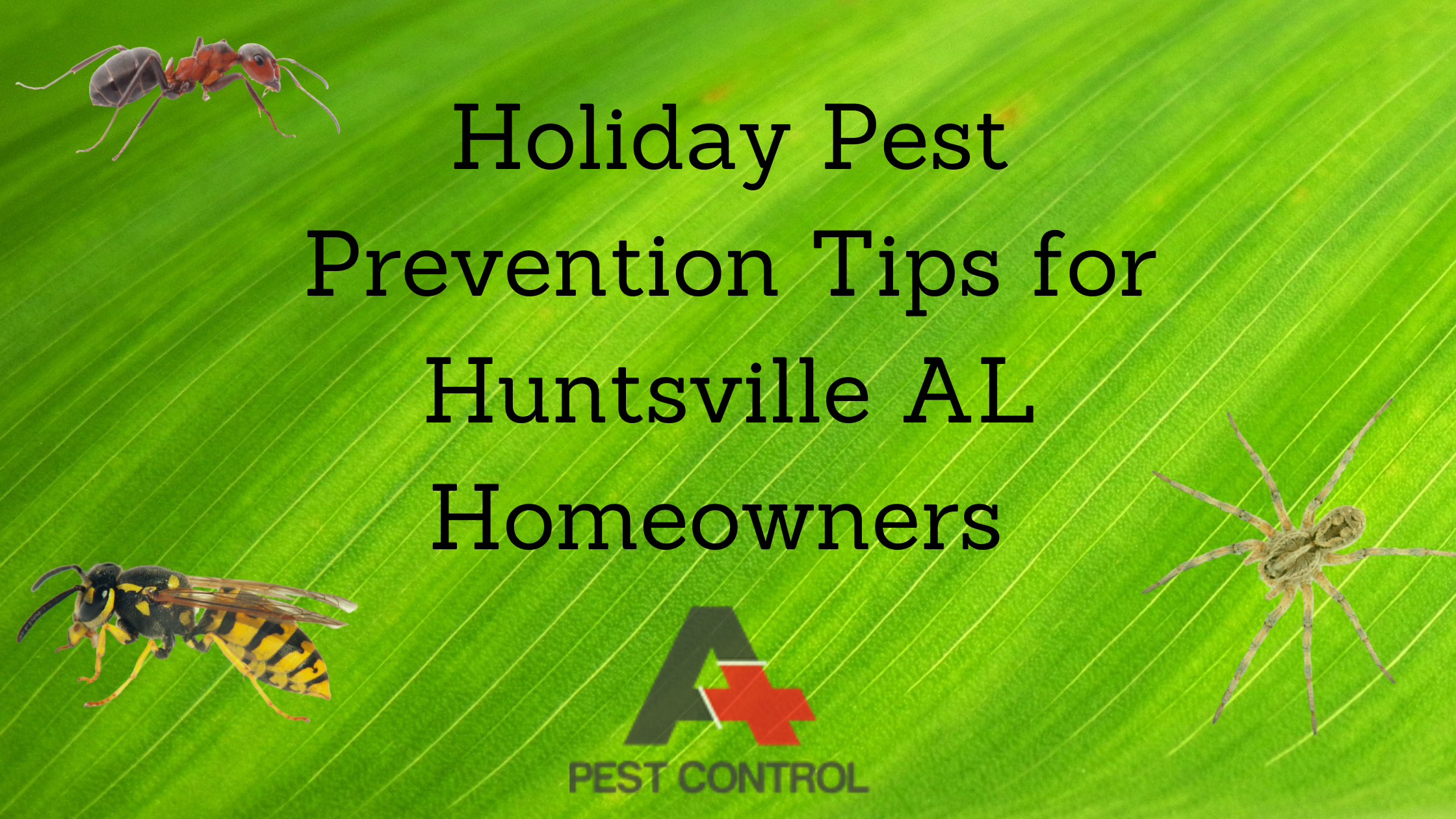 Holiday Pest Prevention Tips for Huntsville AL Homeowners