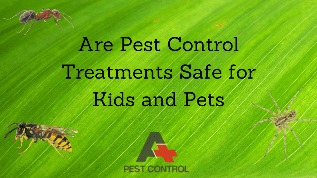 Are Pest Control Treatments Safe for Kids and Pets
