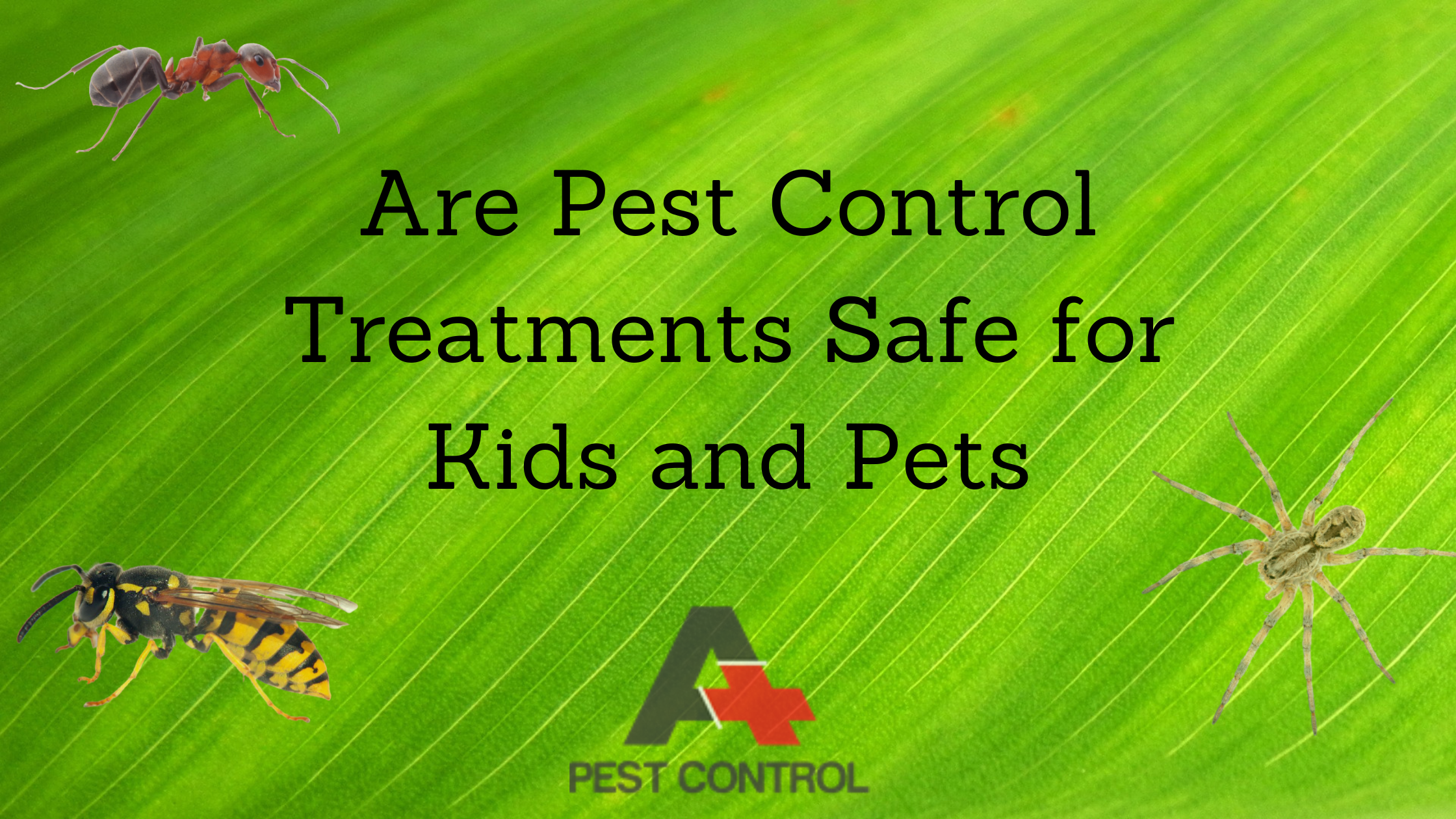Are Pest Control Treatments Safe for Kids and Pets