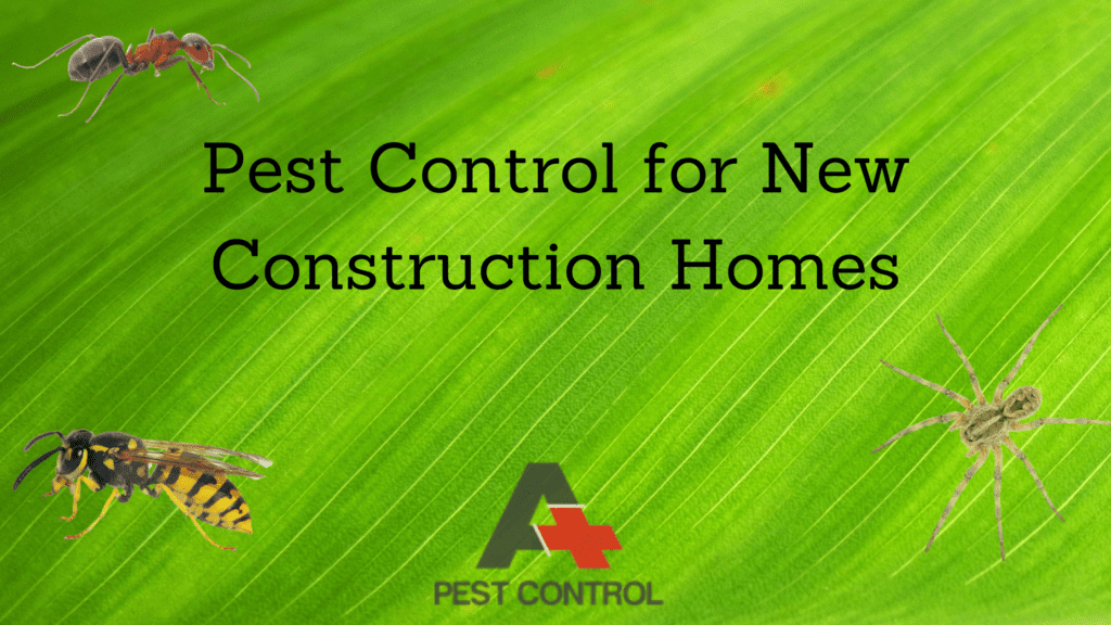 Pest Control for New Construction Homes